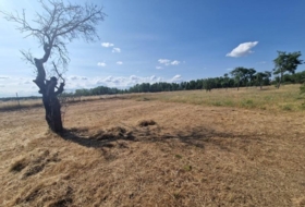 Valencia de Don Juan 1500&nbsp;m²
