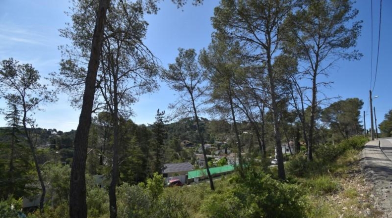 Barcelona - Olivella - 1400m2