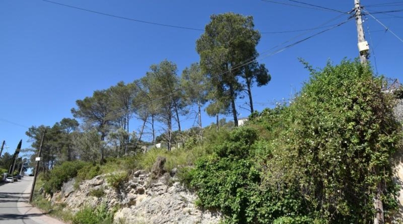Barcelona - Olivella - 1400m2