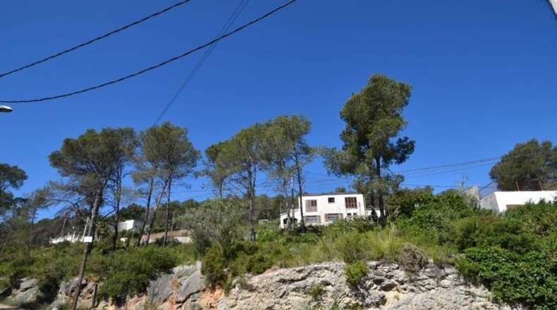 Barcelona - Olivella - 1400m2