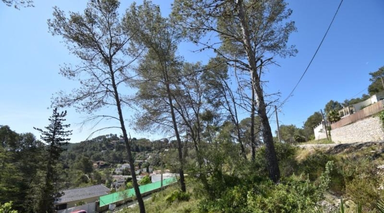 Barcelona - Olivella - 1400m2