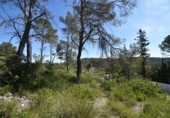 Parcel·la urbanitzable en venda a la España, Olivella, ref.: TR280879 foto