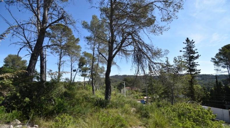 Barcelona - Olivella - 1400m2
