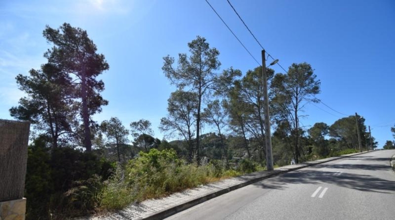 Barcelona - Olivella - 1400m2