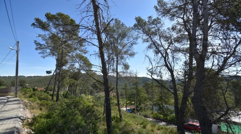 Barcelona - Olivella - 1400m2