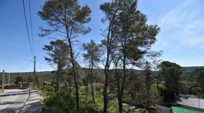 Barcelona - Olivella - 1400m2
