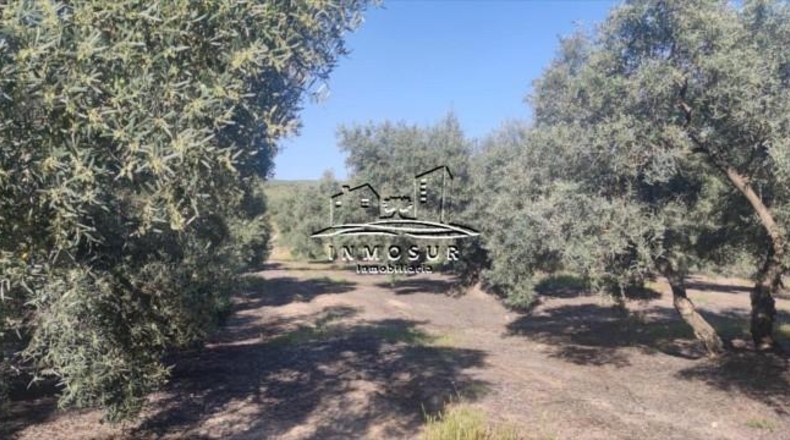 Córdoba - Lucena - 28700m2