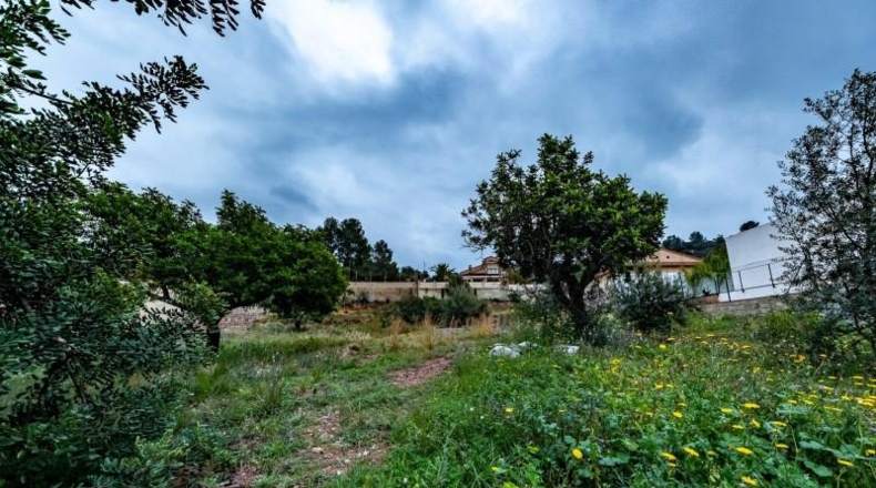 Valencia - Torres Torres - 1450m2