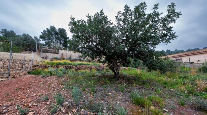 Valencia - Torres Torres - 1450m2