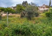 Земля, подлежащая урбанизации на продажу у города Torres Torres Фото