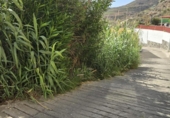 Terreny no urbanitzable en venda a la España, Las Palmas de Gran Canària, ref.: TR311678 foto