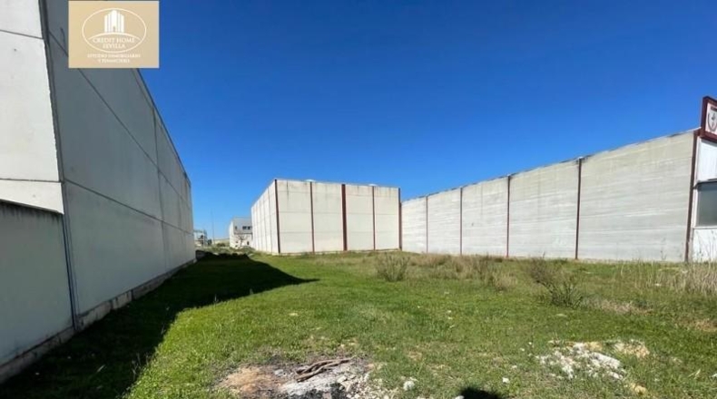 Seville - Palomares del Río - 342m2