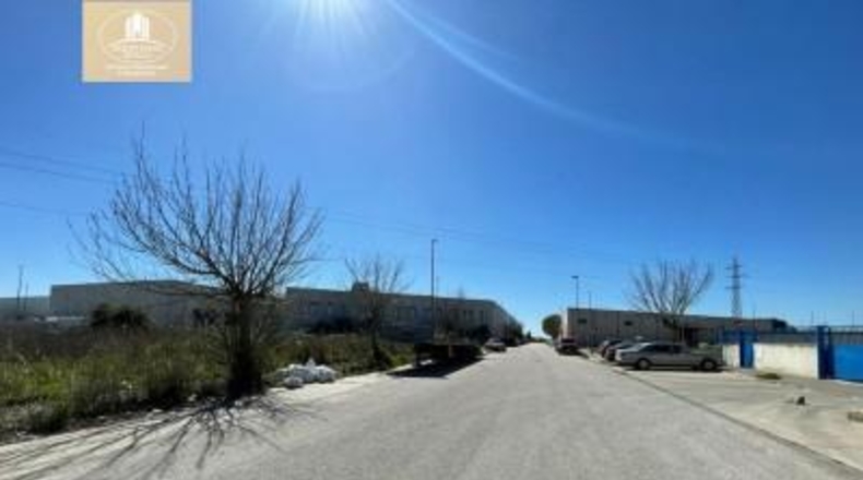 Seville - Palomares del Río - 342m2