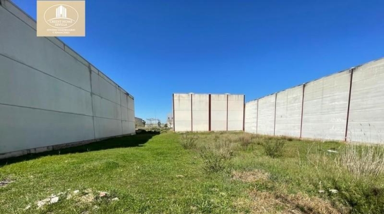 Seville - Palomares del Río - 342m2
