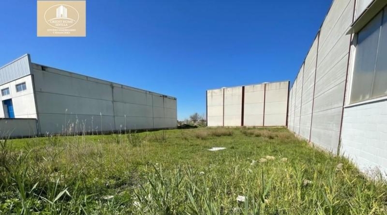 Seville - Palomares del Río - 342m2