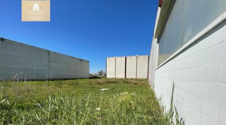 Seville - Palomares del Río - 342m2