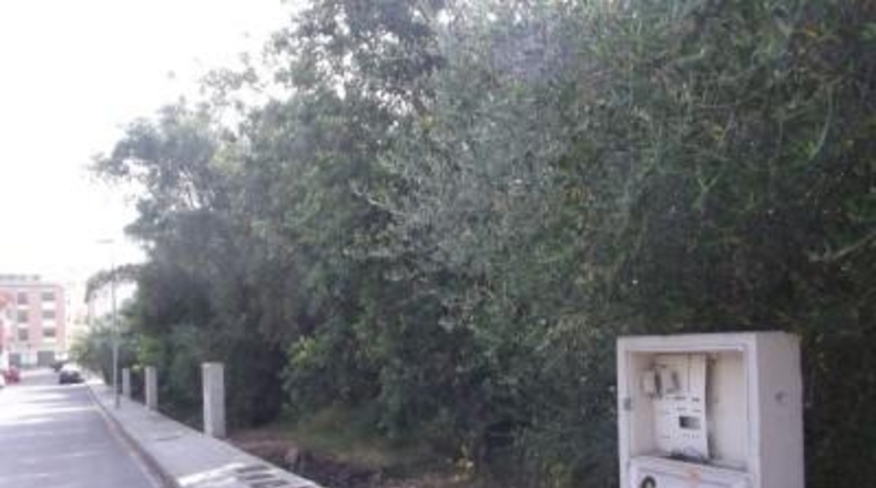 Castellón - Vilafamés - 327m2