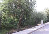 Suelo urbano en venta en la España, Vilafamés, ref: TR121898 foto