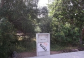 Suelo urbano en venta en la España, Vilafamés, ref: TR121898 foto