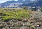 Land suitable for development for sale on España, La Vall d'Uixó, ref: TR122031 photo