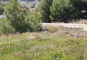 Land suitable for development for sale on España, La Vall d'Uixó, ref: TR122031 photo