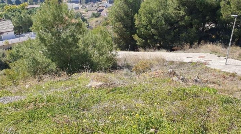 Castellón - la Vall d'Uixó - 654m2