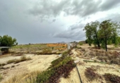 Casa de camp amb terreny en venda a la España, Novelda, ref.: TR146832 foto