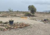 Casa de camp amb terreny en venda a la España, Novelda, ref.: TR146832 foto