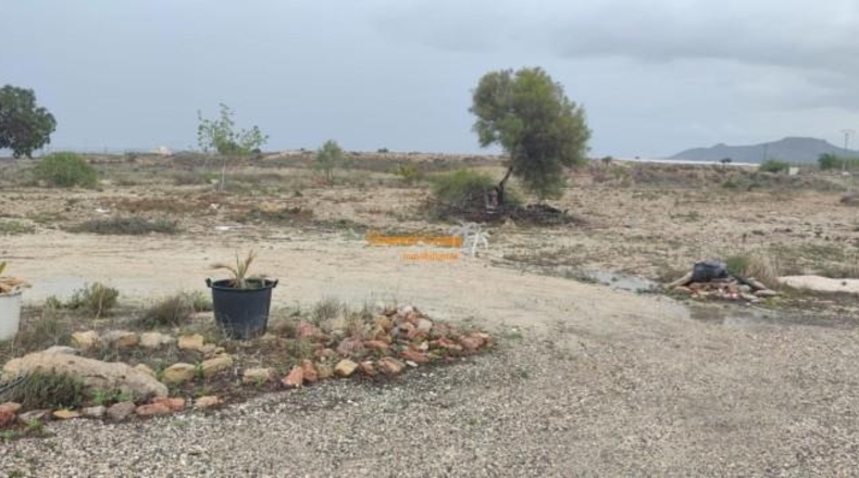 Alicante - Novelda - 14900m2
