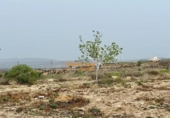 Casa de camp amb terreny en venda a la España, Novelda, ref.: TR146832 foto