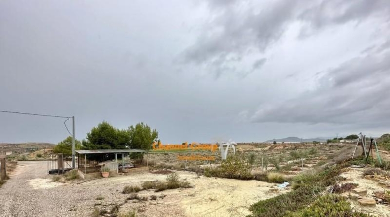 Alicante - Novelda - 14900m2