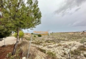 Casa de camp amb terreny en venda a la España, Novelda, ref.: TR146832 foto