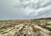 Casa de camp amb terreny en venda a la España, Novelda, ref.: TR146832 foto