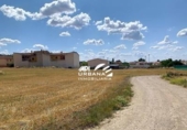 Terreny no urbanitzable en venda a la España, Lucena, ref.: TR146839 foto