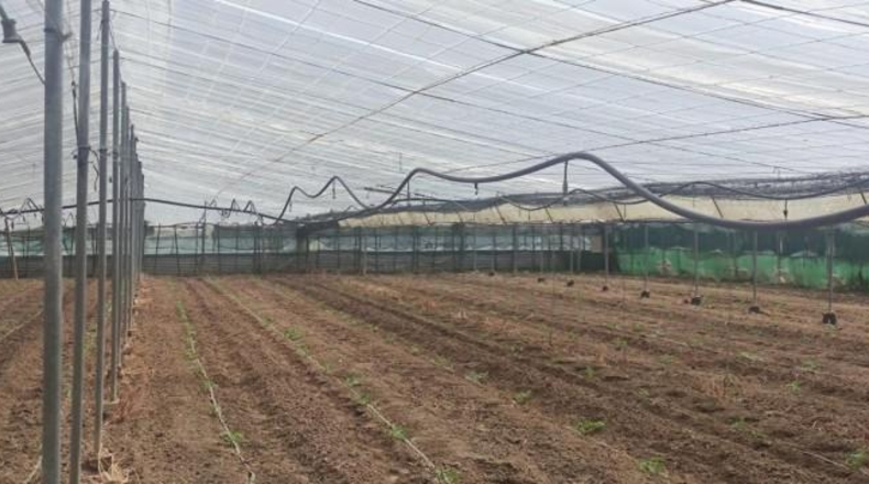 Cádiz - Sanlúcar de Barrameda - 6002m2
