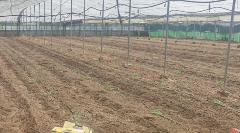 Cádiz - Sanlúcar de Barrameda - 6002m2