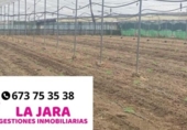 Terreny no urbanitzable en venda a la España, Sanlúcar de Barrameda, ref.: TR122707 foto