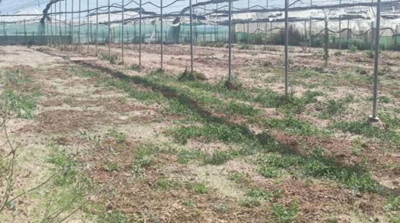Cádiz - Sanlúcar de Barrameda - 6002m2