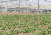 Terreny no urbanitzable en venda a la España, Sanlúcar de Barrameda, ref.: TR122707 foto