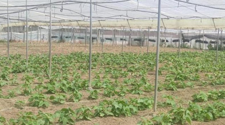 Cádiz - Sanlúcar de Barrameda - 6002m2