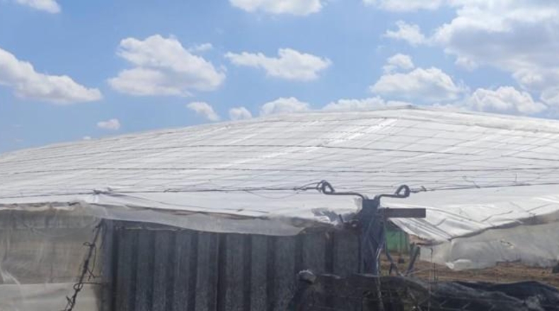 Cádiz - Sanlúcar de Barrameda - 6002m2