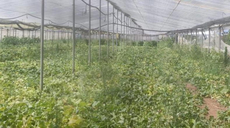 Cádiz - Sanlúcar de Barrameda - 6002m2