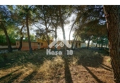 Xalet independent amb terreny en venda a la España, Castalla, ref.: TR132996 foto