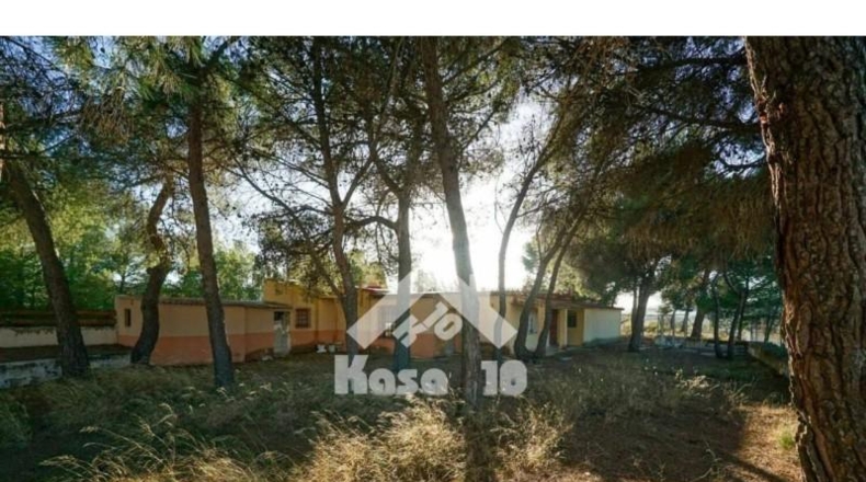 Alicante - Castalla - 16000m2