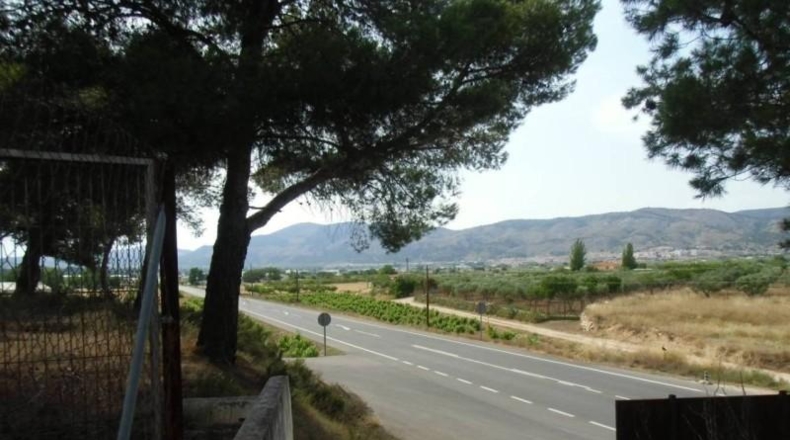 Alicante - Castalla - 16000m2