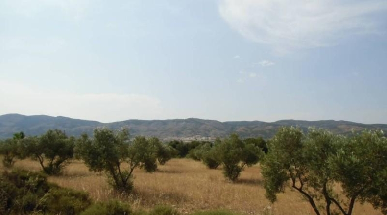 Alicante - Castalla - 16000m2