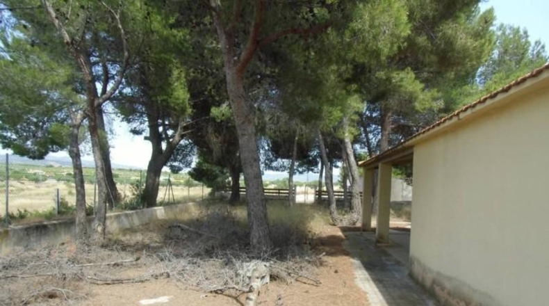 Alicante - Castalla - 16000m2