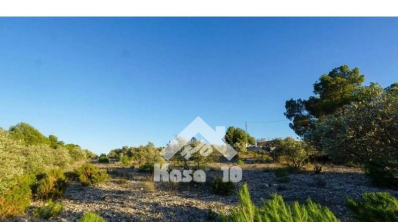 Alicante - Castalla - 16000m2