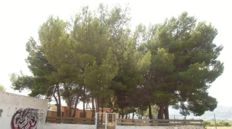 Alicante - Castalla - 16000m2