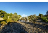 Xalet independent amb terreny en venda a la España, Castalla, ref.: TR132996 foto